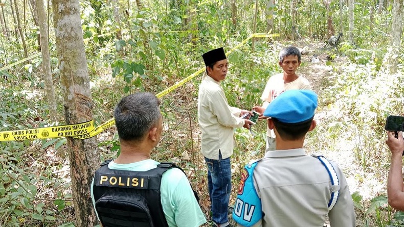 Ngeri! Ibu Hamil di Musi Rawas Tewas Terinjak-injak Gerombolan Gajah Liar