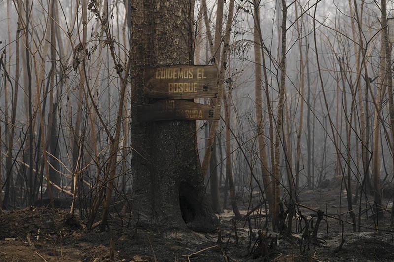 Kebakaran Hebat Melanda Hutan Bolivia, Pemerintah Minta Bantuan Internasional - Bagian 1