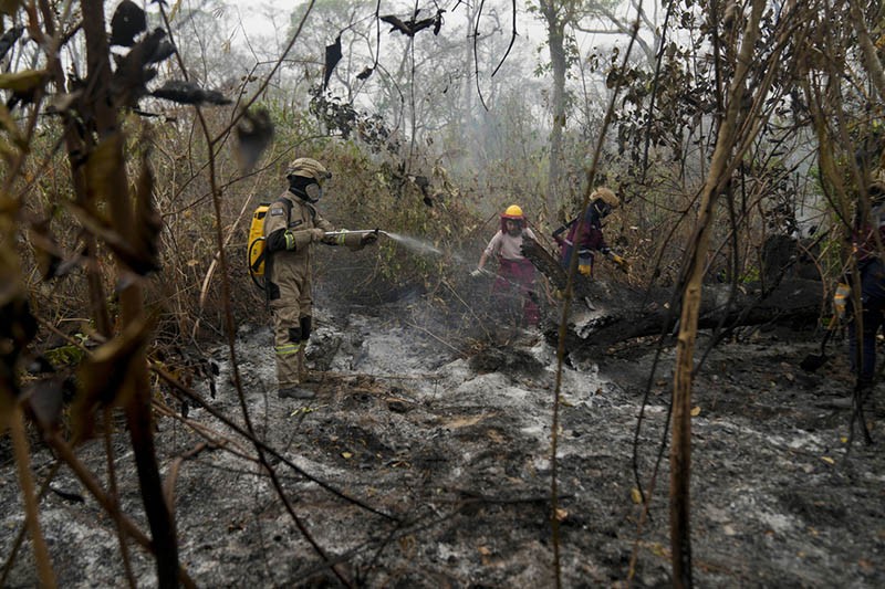 Kebakaran Hebat Melanda Hutan Bolivia, Pemerintah Minta Bantuan Internasional - Bagian 2