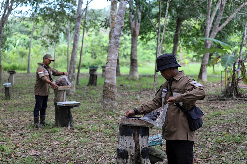 Kelompok Tani Hutan Trigona Reborn Sukses Produksi Madu Kelulut - Bagian 8