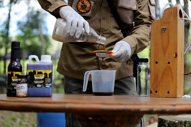 Kelompok Tani Hutan Trigona Reborn Sukses Produksi Madu Kelulut - Bagian 9