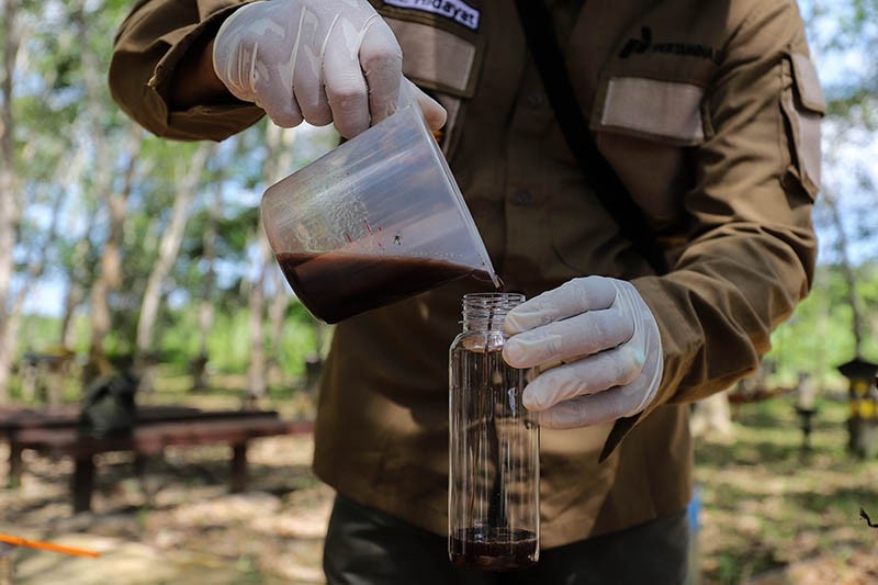 Kelompok Tani Hutan Trigona Reborn Sukses Produksi Madu Kelulut - Bagian 3