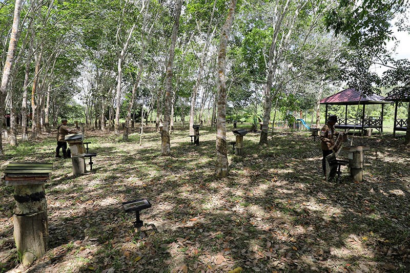 Kelompok Tani Hutan Trigona Reborn Sukses Produksi Madu Kelulut - Bagian 5