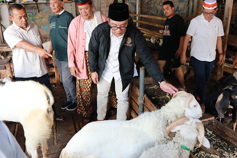 Arsitek Berpengalaman, Ridwan Kamil Punya Cara Revitalisasi Pasar Ternak Tanah Abang - Bagian 1