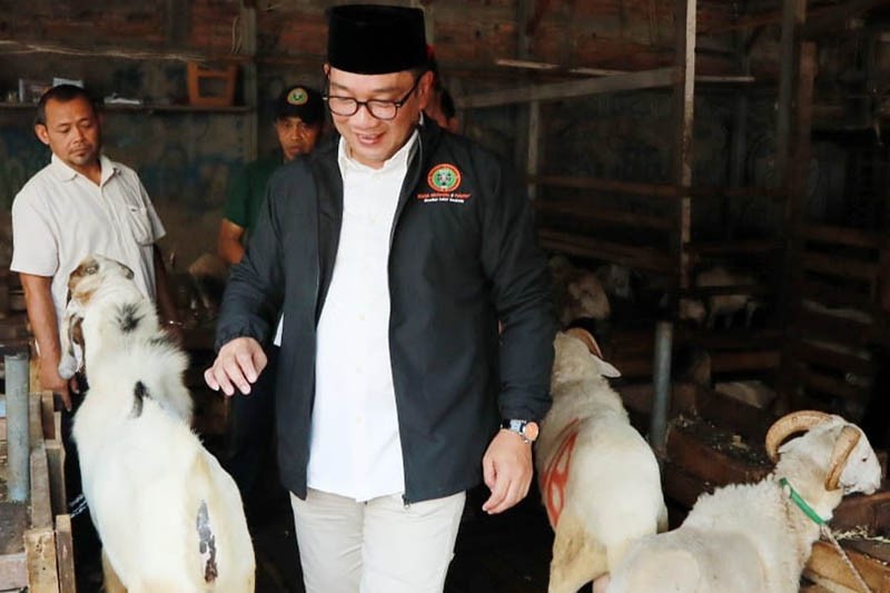 Arsitek Berpengalaman, Ridwan Kamil Punya Cara Revitalisasi Pasar Ternak Tanah Abang - Bagian 2