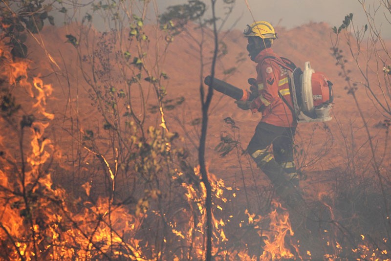 Kebakaran Hutan Taman Nasional Brasilia Ulah Manusia - Bagian 3