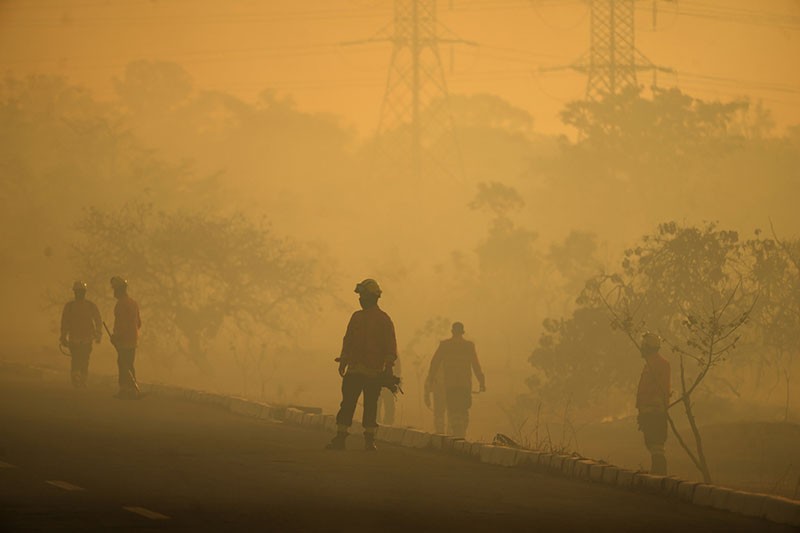Kebakaran Hutan Taman Nasional Brasilia Ulah Manusia - Bagian 5