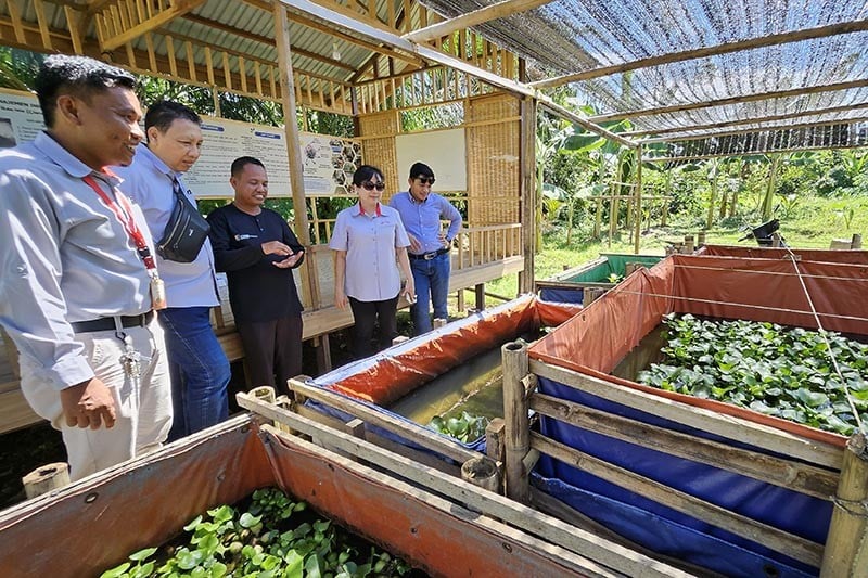 Perkuat Kemandirian UMKM di Paser Kalimantan Timur - Bagian 1