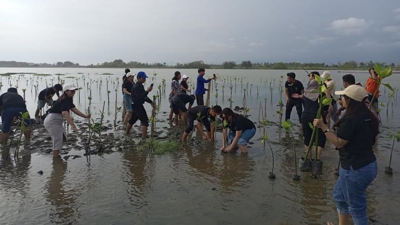 title Tanam Mangrove Bersama Next Hotel, Pemuda Bantul: Penting Jaga Ekosistem dan Tanah Muara Tanam Mangrove Bersama Next Hotel, Pemuda Bantul: Penting Jaga Ekosistem dan Tanah Muara