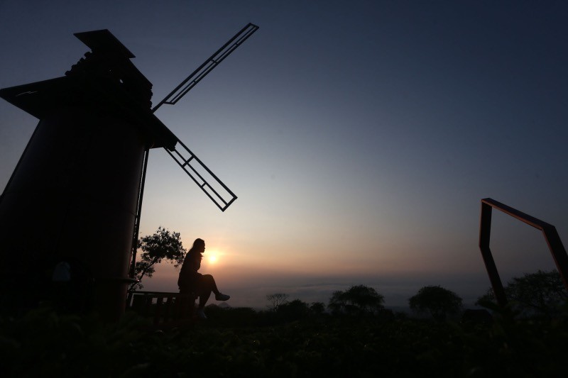 Melihat Indahnya Sunrise di Hamparan Kebun Teh Bukit Kuneer Malang - Bagian 1