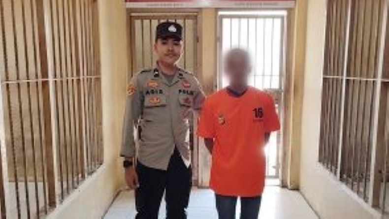 title Curi Sarang Madu di Kebun Warga, Pria di Belitung Timur Ditangkap Polisi Curi Sarang Madu di Kebun Warga, Pria di Belitung Timur Ditangkap Polisi
