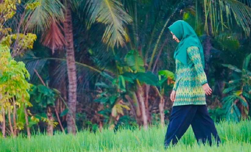 title Ini Strategi Rohmi-Firin Pertahankan NTB sebagai Lumbung Pangan Nasional Ini Strategi Rohmi-Firin Pertahankan NTB sebagai Lumbung Pangan Nasional