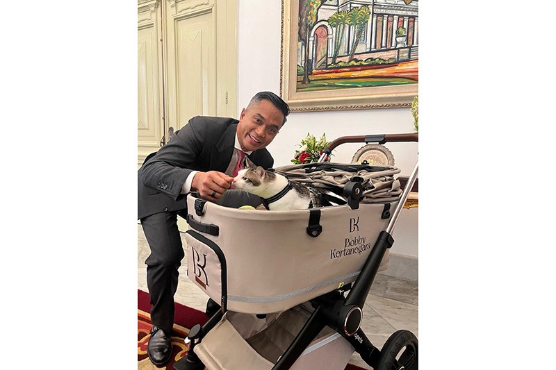 Gemas! Bobby Kertanegara Kucing Presiden Prabowo Pindah ke Istana Negara - Bagian 2