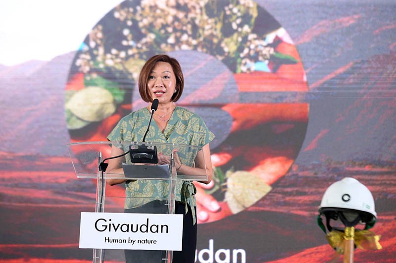 Pembangunan Fasilitas Produksi di Indonesia - Bagian 5