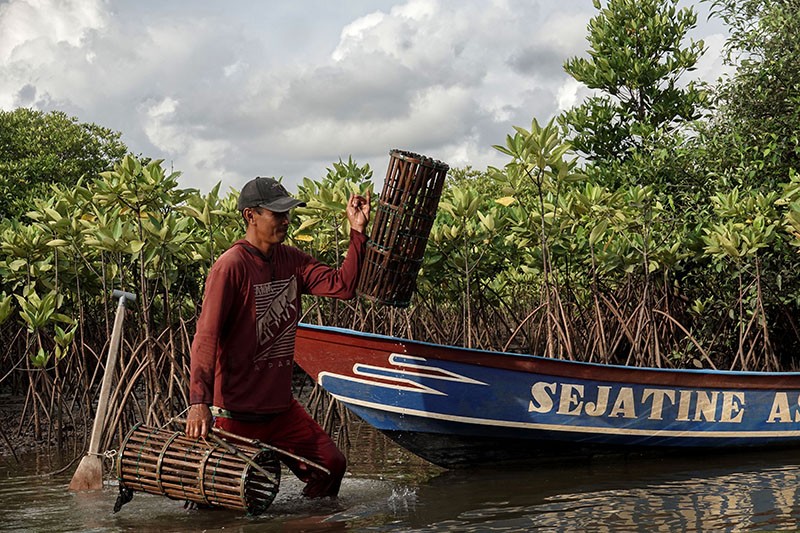 Konservasi Mangrove Segara Anakan Cilacap - Bagian 2