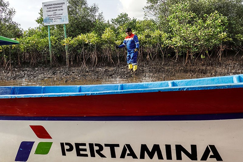 Konservasi Mangrove Segara Anakan Cilacap - Bagian 3
