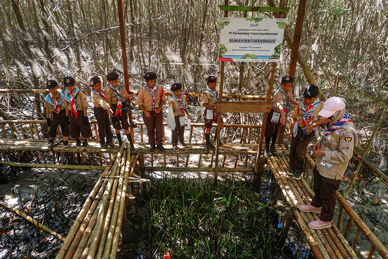 Menjaga dan Merawat Mangrove Pesisir Makassar - Bagian 1