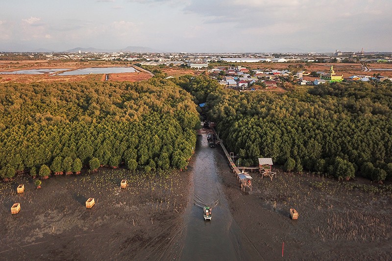 Menjaga dan Merawat Mangrove Pesisir Makassar - Bagian 4