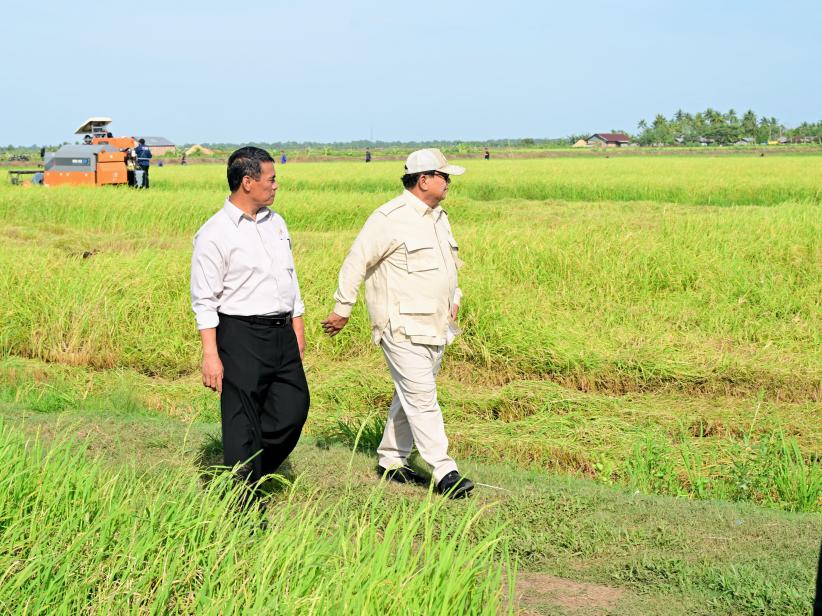 Presiden Prabowo Tinjau Lahan Percontohan Lumbung Pangan di Papua Selatan - Bagian 2