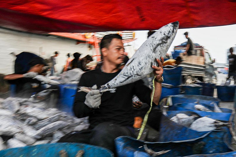 Produksi Perikanan Tangkap Capai 5 Juta Ton Per Triwulan III 2024 - Bagian 3