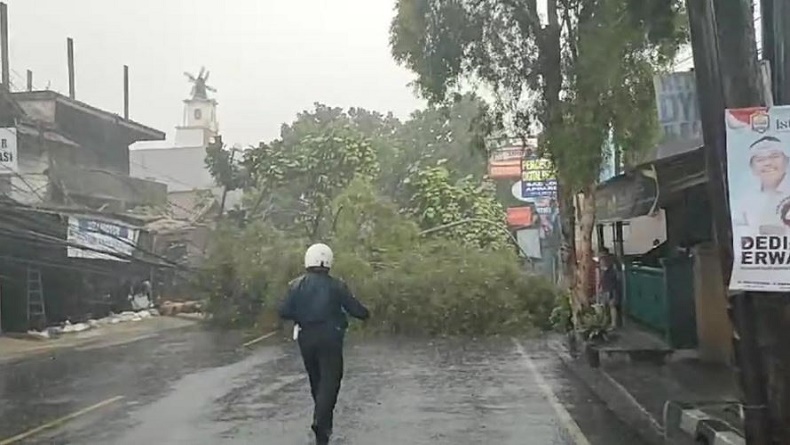 title Pohon Tumbang Tutup Jalur Sukabumi-Cianjur, Akses Jalan Lumpuh Total selama 3 Jam Pohon Tumbang Tutup Jalur Sukabumi-Cianjur, Akses Jalan Lumpuh Total selama 3 Jam