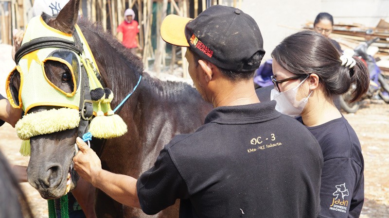 Sosialisasi Kartu Tanda Pengenal Pemilik Kuda Delman dan Plat Kereta Delman di Jakarta Selatan - Bagian 4