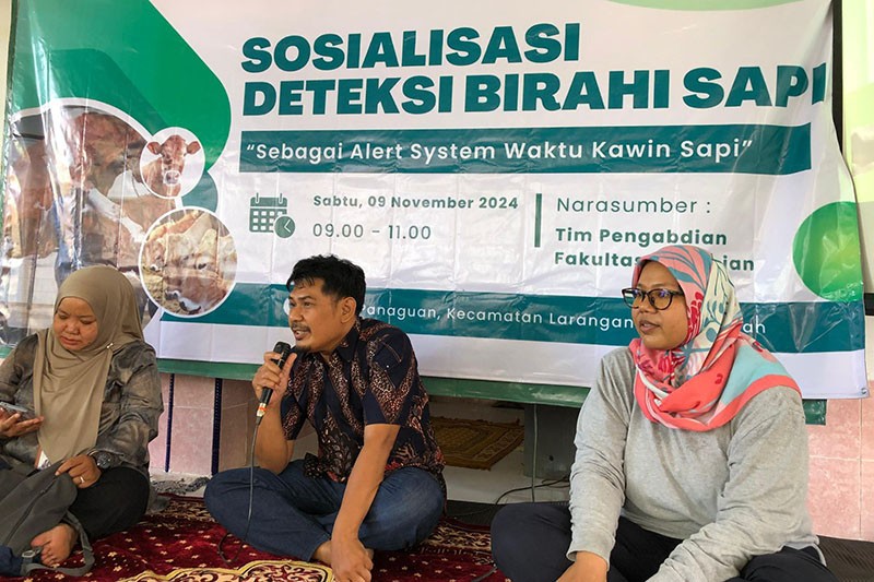 Tingkatkan Produktivitas Ternak dengan Deteksi Birahi Sapi hingga Manfaatkan Limbah - Bagian 1