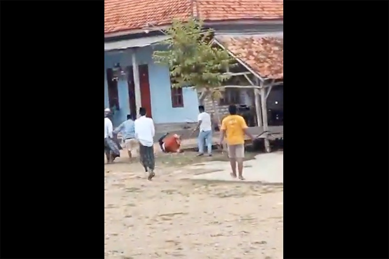 Ngeri! Viral Aksi Carok di Madura Tewaskan 1 Orang, Gegara Pilkada? - Bagian 2