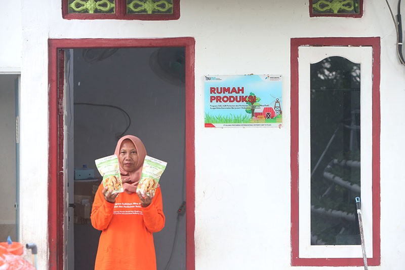 Program Budi Daya Mina Padi di Banyuasin - Bagian 3