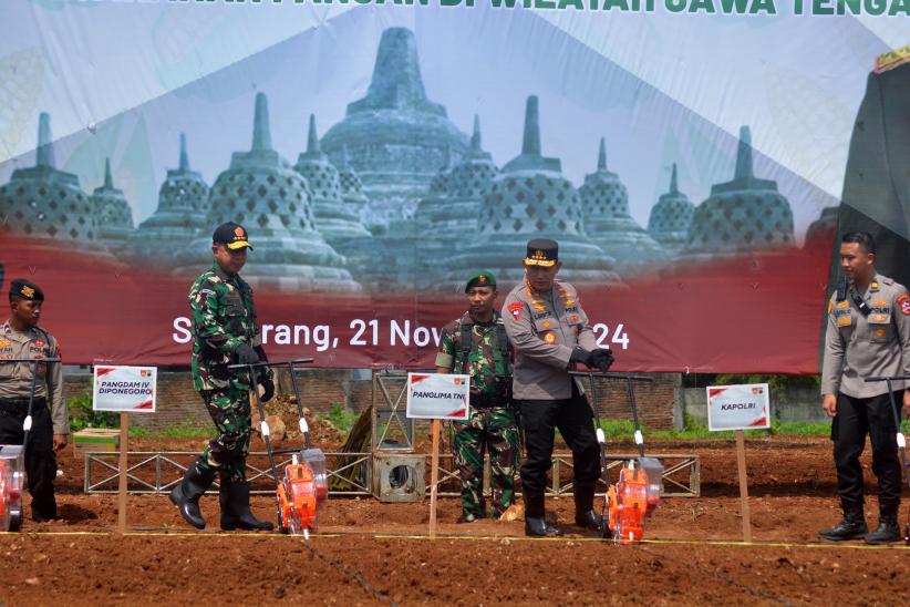 Kompak, Panglima TNI dan Kapolri Tanam Bibit Jagung di Lahan Seluas 40 Hektare - Bagian 2
