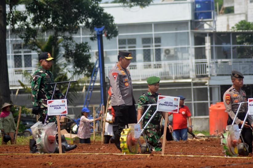 Kompak, Panglima TNI dan Kapolri Tanam Bibit Jagung di Lahan Seluas 40 Hektare - Bagian 3