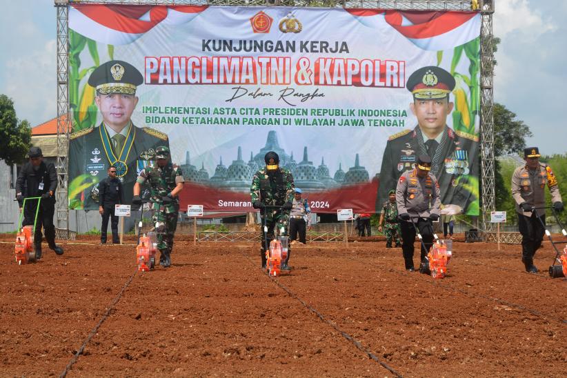 Kompak, Panglima TNI dan Kapolri Tanam Bibit Jagung di Lahan Seluas 40 Hektare - Bagian 4