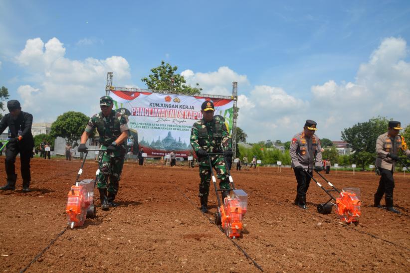 Kompak, Panglima TNI dan Kapolri Tanam Bibit Jagung di Lahan Seluas 40 Hektare - Bagian 1