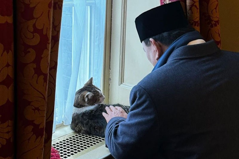 Momen Prabowo Dekat dengan Larry the Cat, Kucing Penghuni Kantor PM Inggris - Bagian 2