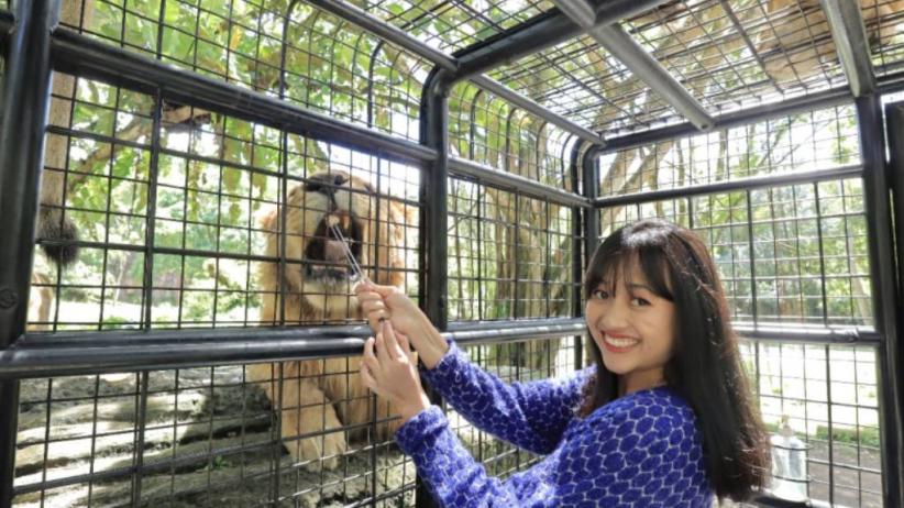 title 3 Jalur Alternatif ke Taman Safari Prigen untuk Wisata Full Day Tanpa Macet 3 Jalur Alternatif ke Taman Safari Prigen untuk Wisata Full Day Tanpa Macet