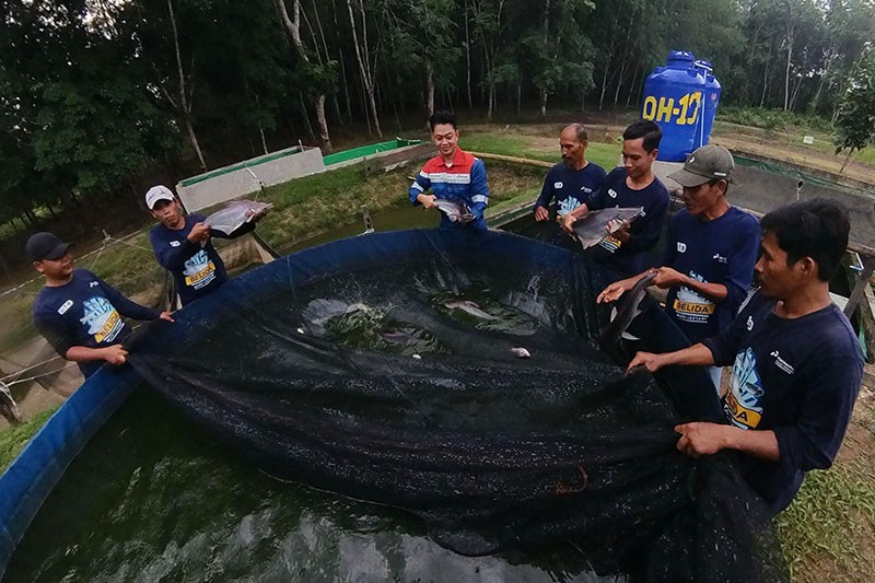 UMKM Berhasil Kembangkan Ekosistem Pendukung Konservasi Budi Daya Ikan Lokal - Bagian 4