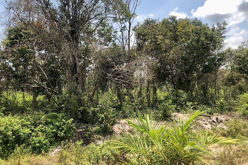 Kementerian ATR/BPN Catat 99.000 Hektare Tanah di Indonesia Telantar - Bagian 2