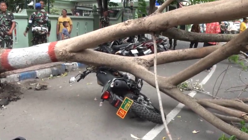 title Angin Kencang di Mojokerto, Kendaraan Dinas TNI Rusak dan 2 Orang Luka Tertimpa Pohon Tumbang Angin Kencang di Mojokerto, Kendaraan Dinas TNI Rusak dan 2 Orang Luka Tertimpa Pohon Tumbang