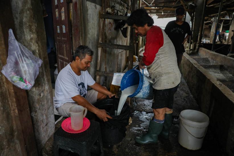 Melihat Peternakan Sapi Perah di Tengah Serbuan Susu Impor - Bagian 5