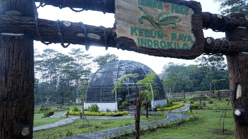 Tempat Wisata di Boyolali: Spot Instagramable yang Wajib Kamu Kunjungi!