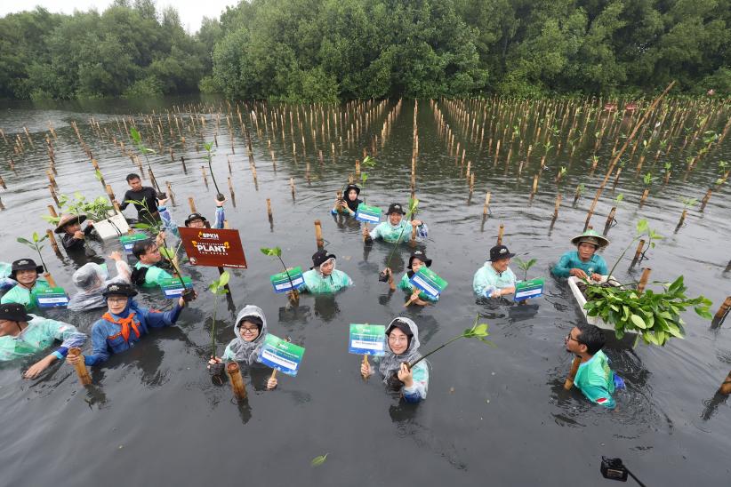 Tanam Ribuan Mangrove dan Lepas Puluhan Burung di Taman Wisata Alam - Bagian 2