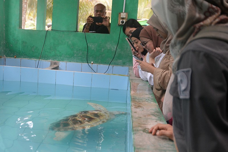 Para Pemuda Diajak Peduli terhadap Konservasi Penyu - Bagian 3