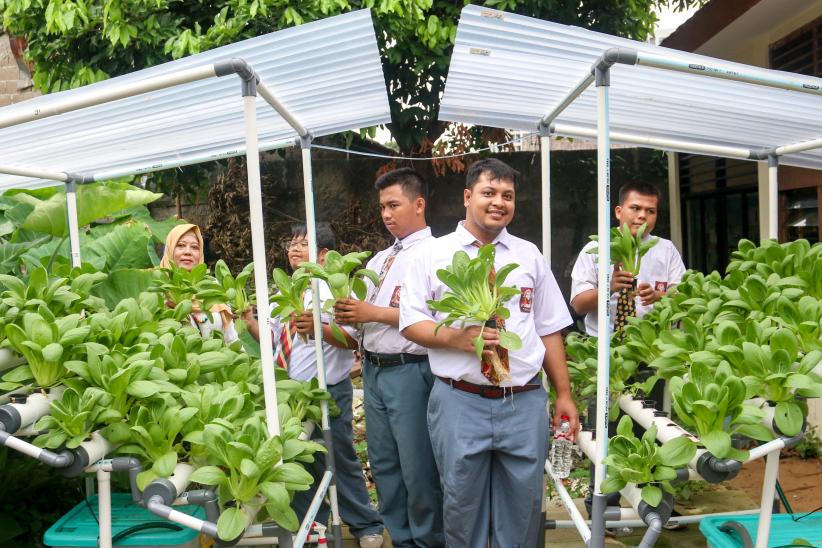 Siswa Berkebutuhan Khusus Panen Pakcoy di Kebun Sekolah - Bagian 2