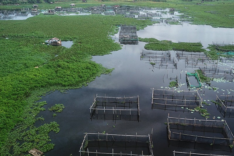 Budi Daya Ikan Air Tawar di Danau Balang Tonjong untuk Ketahanan Pangan - Bagian 1