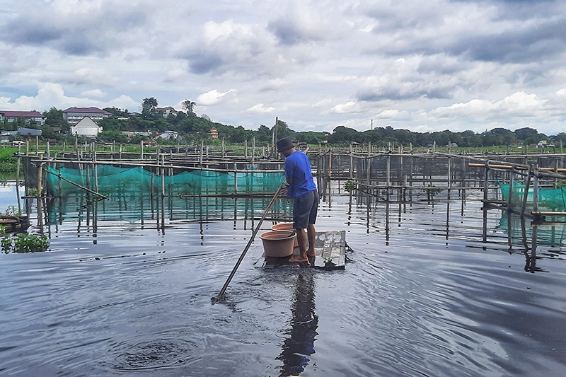 Budi Daya Ikan Air Tawar di Danau Balang Tonjong untuk Ketahanan Pangan - Bagian 2