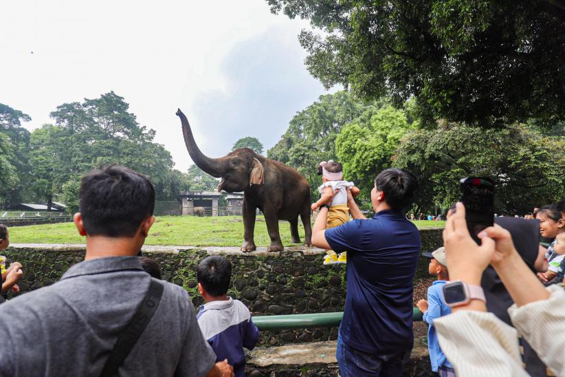 Taman Margasatwa Ragunan Padat Pengunjung - Bagian 2