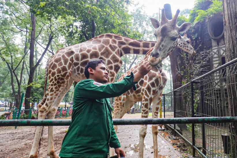 Taman Margasatwa Ragunan Padat Pengunjung - Bagian 4