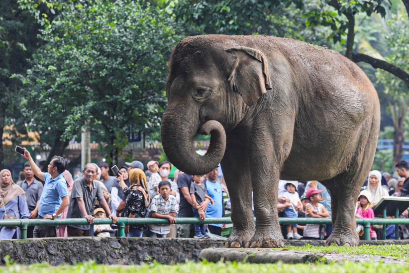Taman Margasatwa Ragunan Padat Pengunjung - Bagian 3