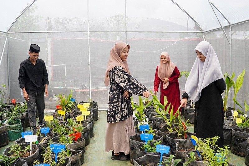 Aktivitas Santri di Greenhouse Pondok Pesantren Tahfidz Qur'an Daarul 'Uluum Lido - Bagian 2