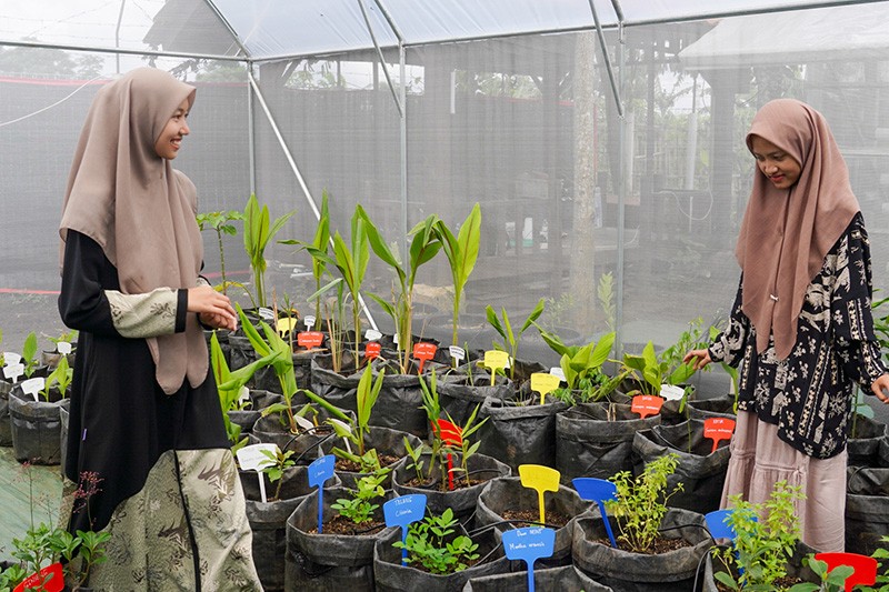 Aktivitas Santri di Greenhouse Pondok Pesantren Tahfidz Qur'an Daarul 'Uluum Lido - Bagian 6